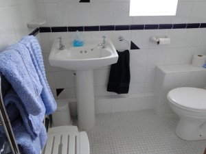Roslyn Bathroom 